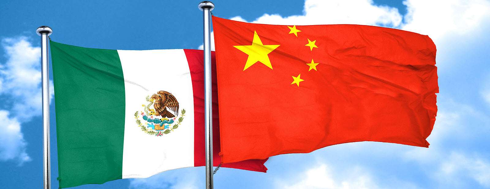 鼎天国际官方网站图片